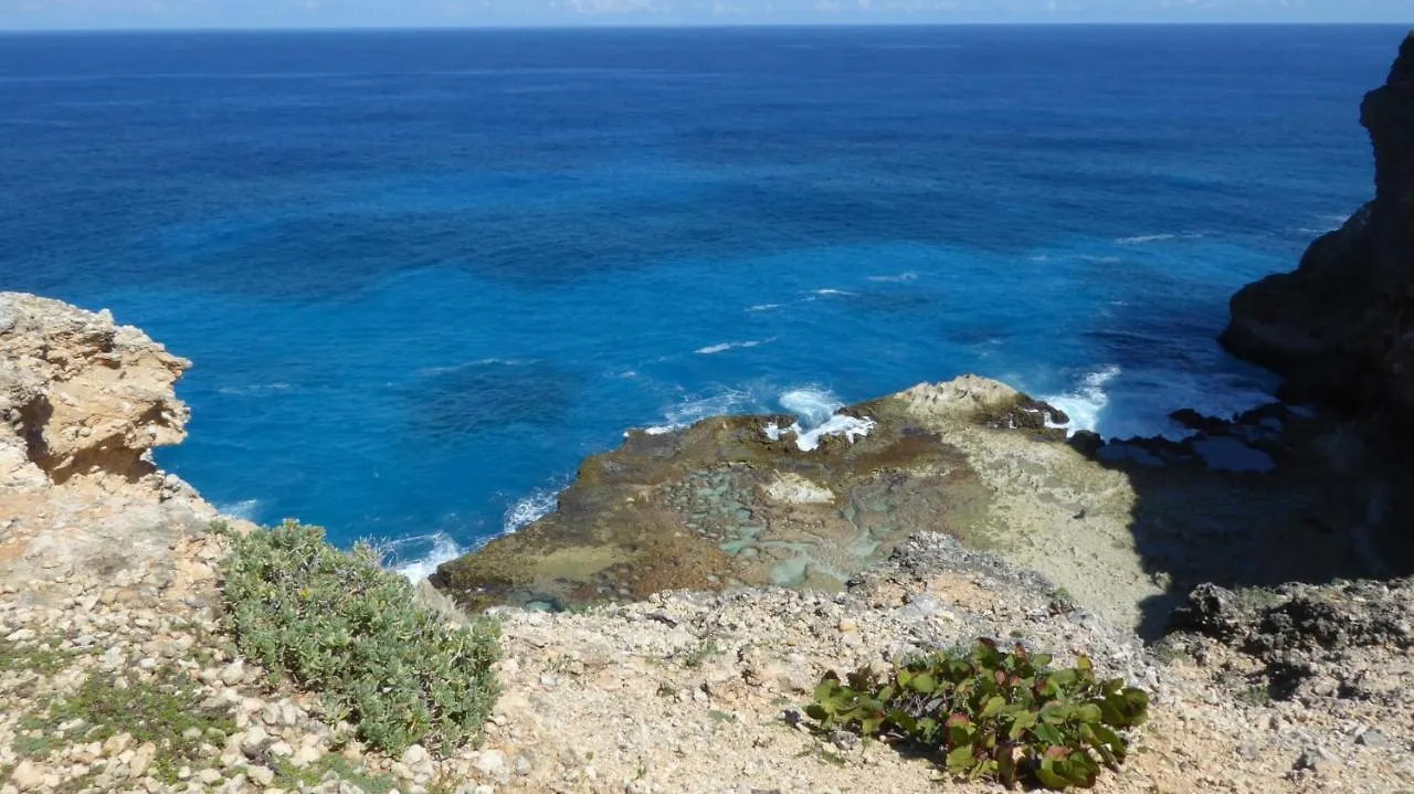 Appartement Proche De La Mer Ty Manganao سانت فرانسوا شقة
